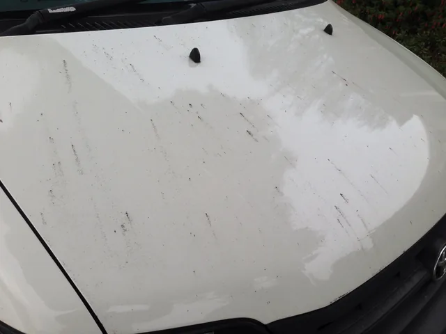 Contamination across a white panel before treatment